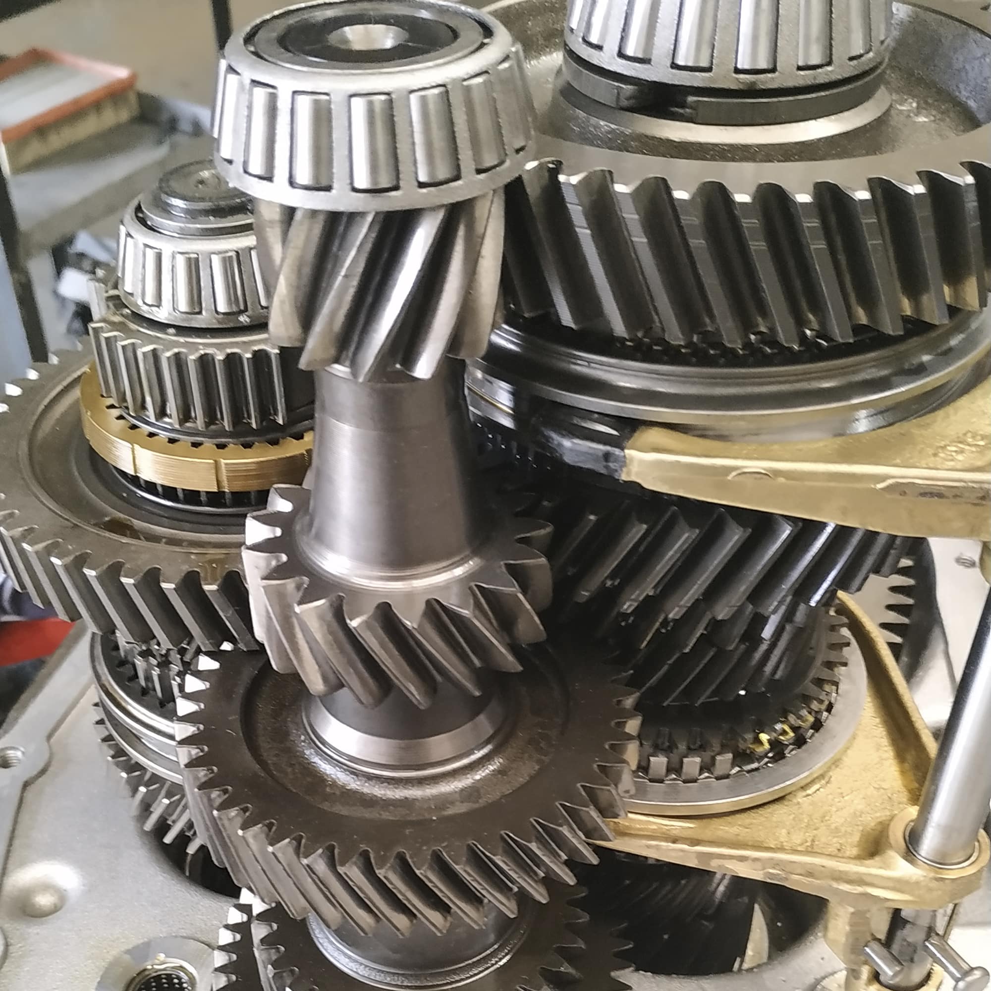 Reparación caja cambios